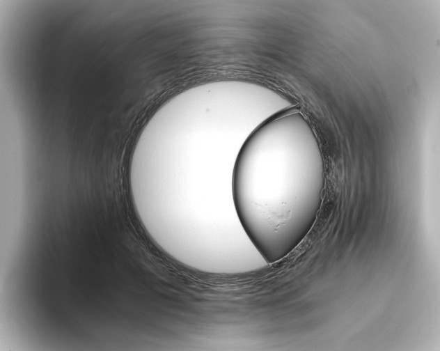 X0000093610601200710151017