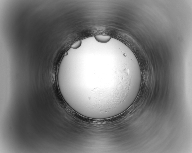 X0000093610602200710151017