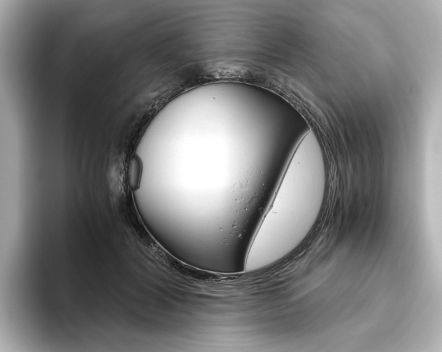 X0000093610604200710151017