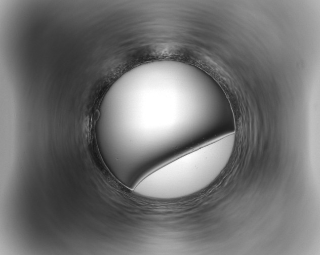 X0000093610605200710151017