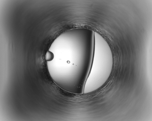 X0000093610608200710151017