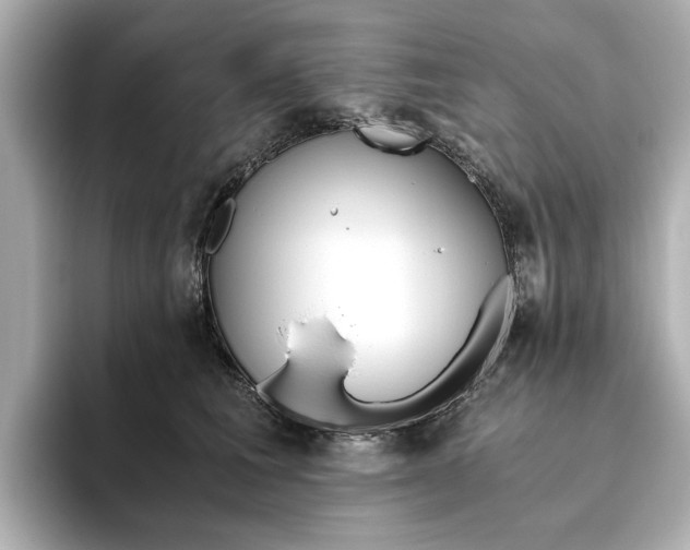 X0000093610613200710151017