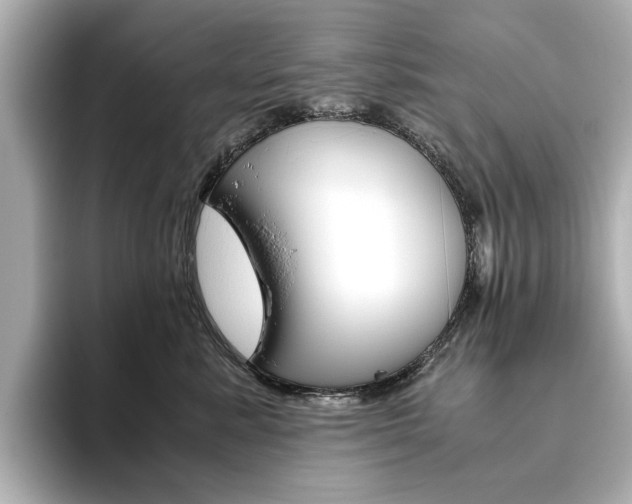 X0000093610619200710151017