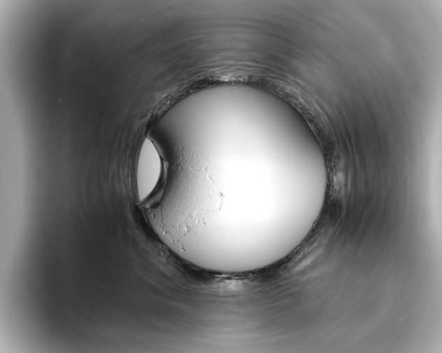 X0000093610620200710151017