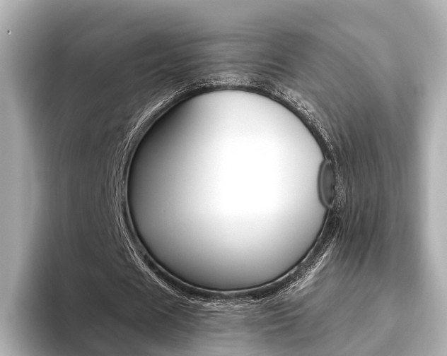 X0000093610625200710151016