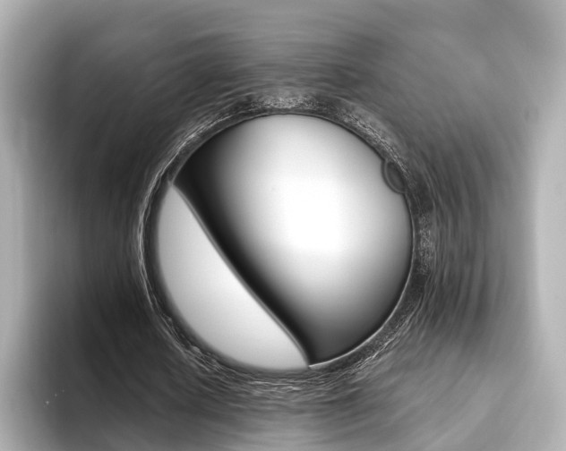 X0000093610626200710151016