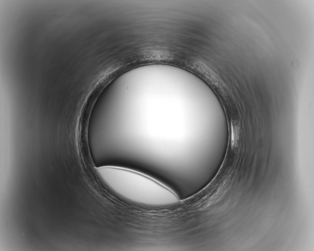X0000093610627200710151016