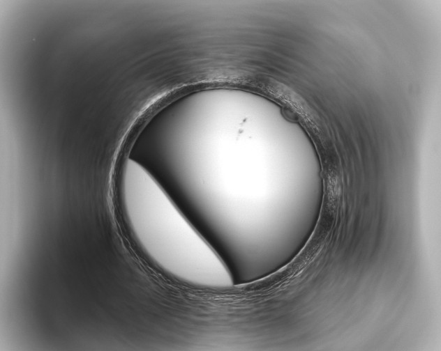 X0000093610628200710151016