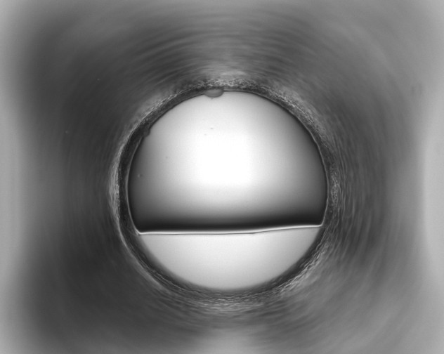 X0000093610630200710151016