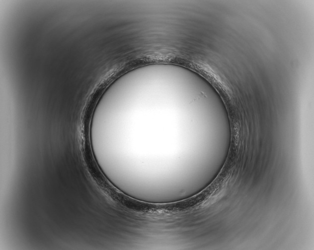 X0000093610634200710151016
