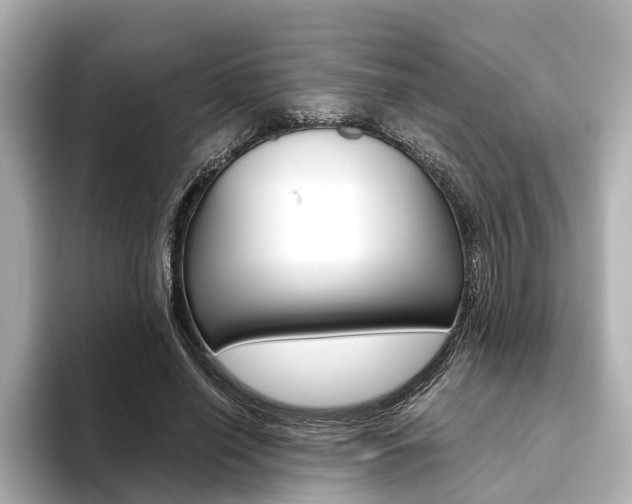 X0000093610638200710151016