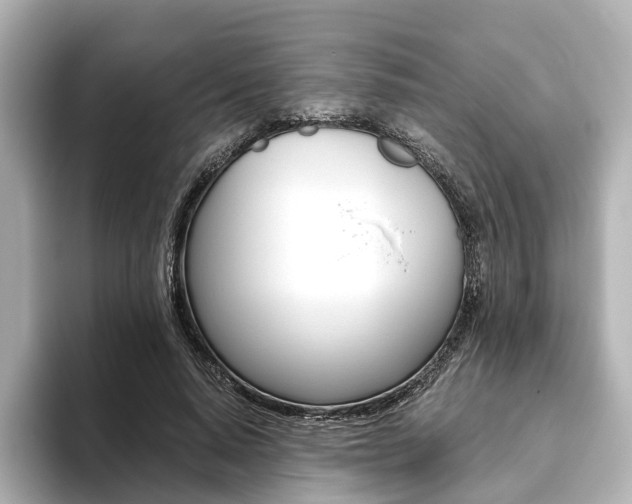 X0000093610640200710151017