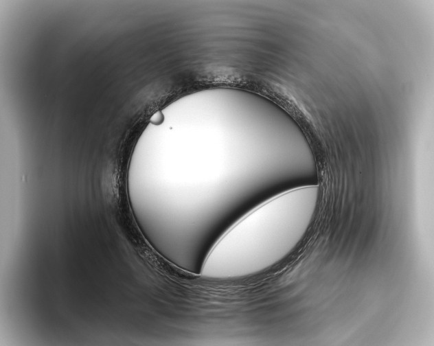 X0000093610643200710151017