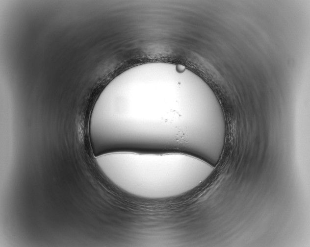 X0000093610644200710151017