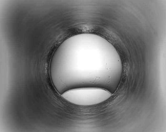X0000093610650200710151017