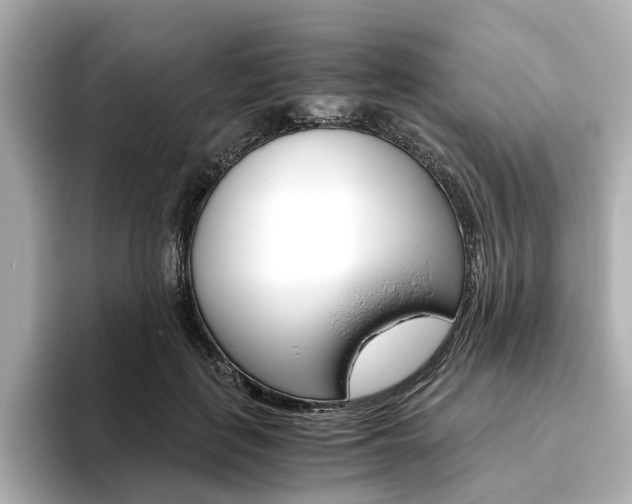 X0000093610651200710151017