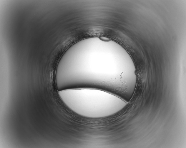 X0000093610652200710151017