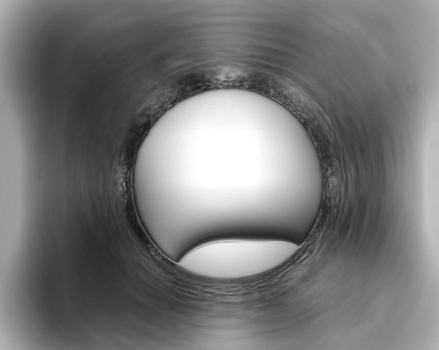 X0000093610654200710151017