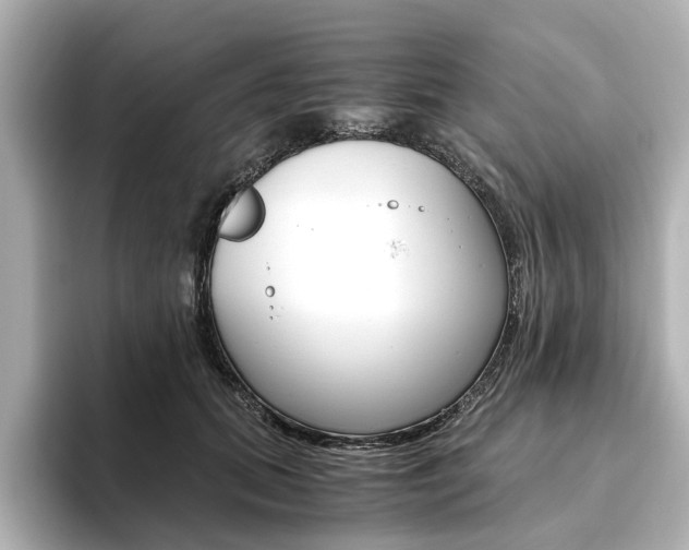 X0000093610655200710151017