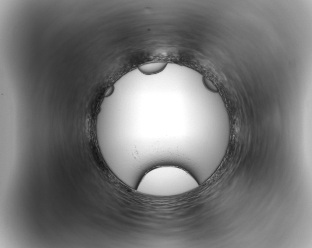 X0000093610659200710151017