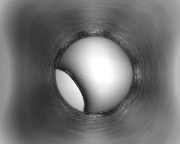 X0000093610664200710151017