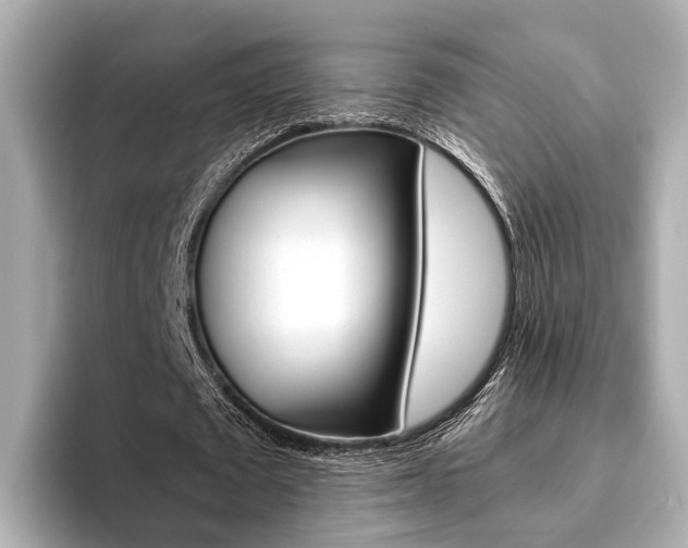 X0000093610673200710151016