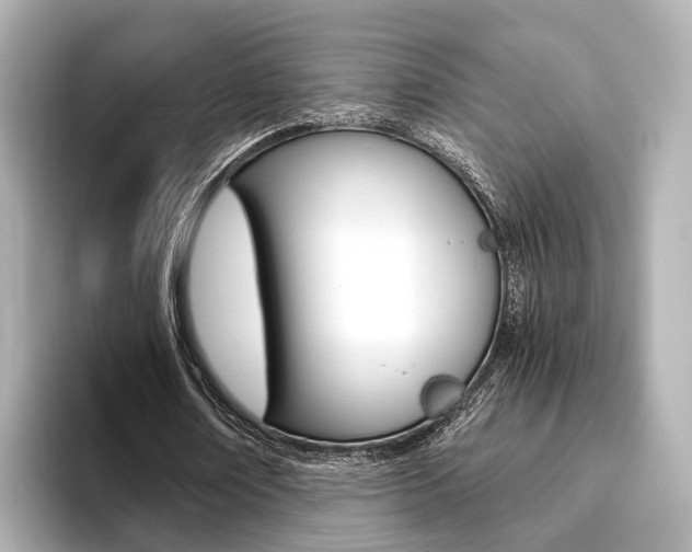 X0000093610674200710151016