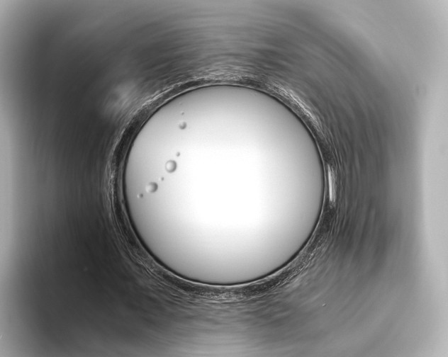 X0000093610675200710151016