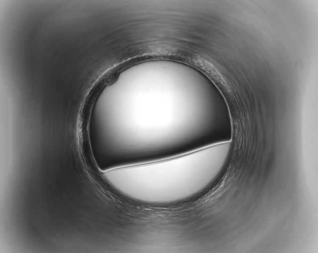 X0000093610676200710151016