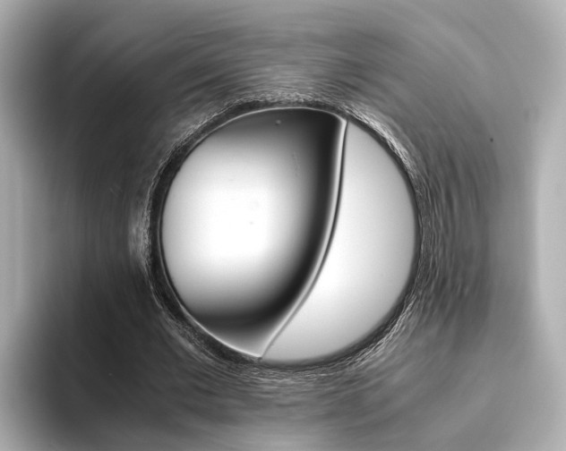 X0000093610677200710151016