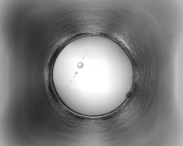 X0000093610679200710151016