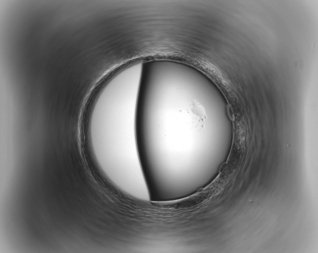 X0000093610680200710151016