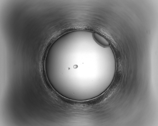 X0000093610681200710151016