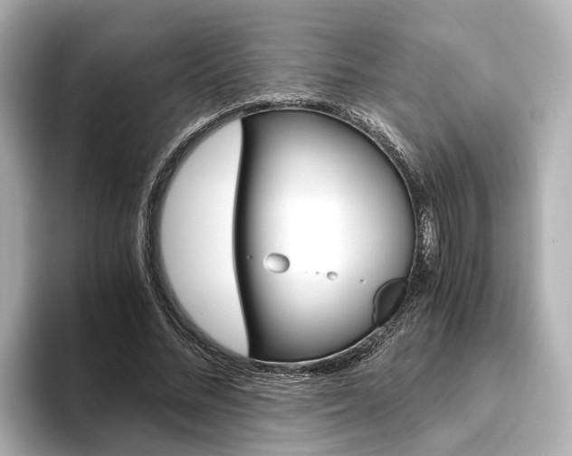 X0000093610684200710151016