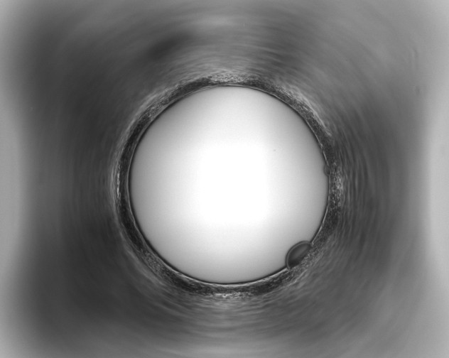 X0000093610686200710151016