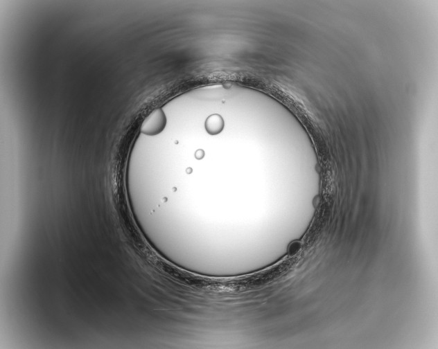 X0000093610687200710151016