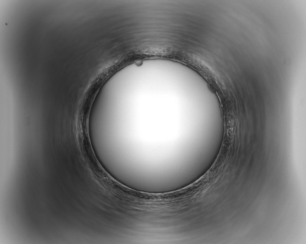 X0000093610688200710151016