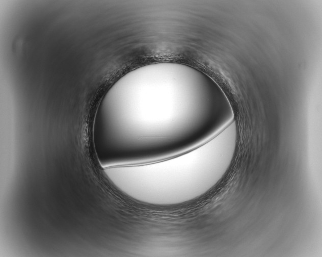 X0000093610689200710151016