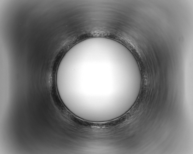 X0000093610690200710151016