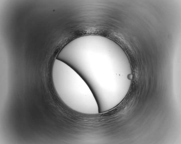 X0000093610691200710151016