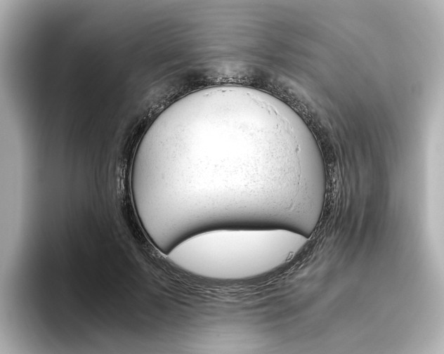 X0000093610695200710151016