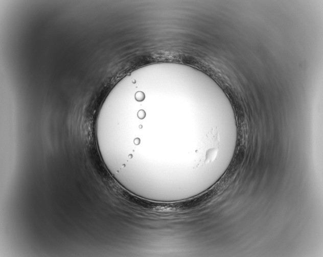 X0000093610699200710151016