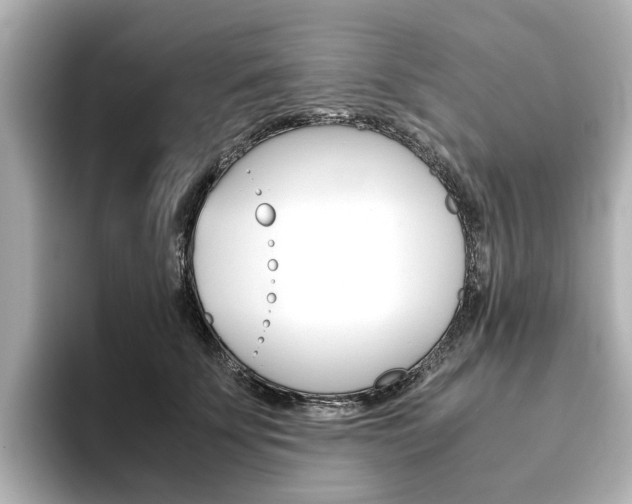 X0000093610707200710151016