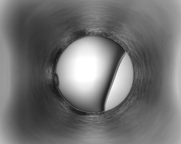 X0000093610708200710151016