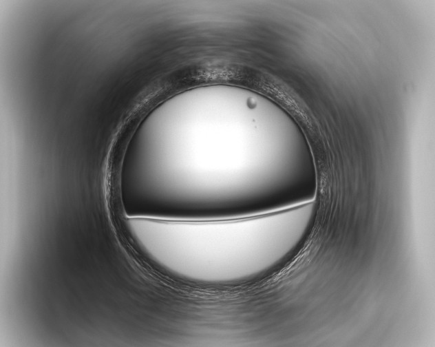 X0000093610722200710151015