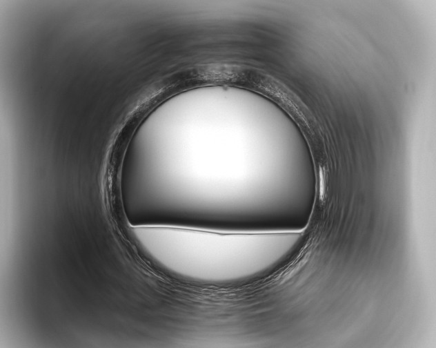 X0000093610723200710151015