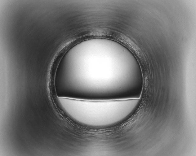 X0000093610724200710151015