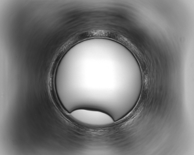 X0000093610725200710151015