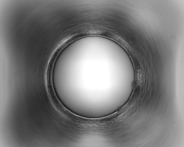 X0000093610726200710151015
