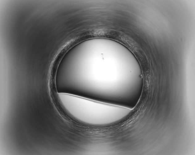 X0000093610728200710151015